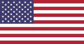 Our Government U.S. Flag